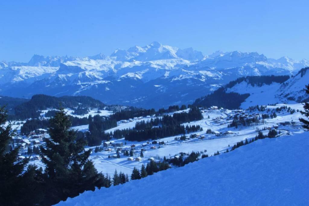 Bel App Aux Gets 10Mn Centre Ski Parking Tennis Prive 레게츠 외부 사진